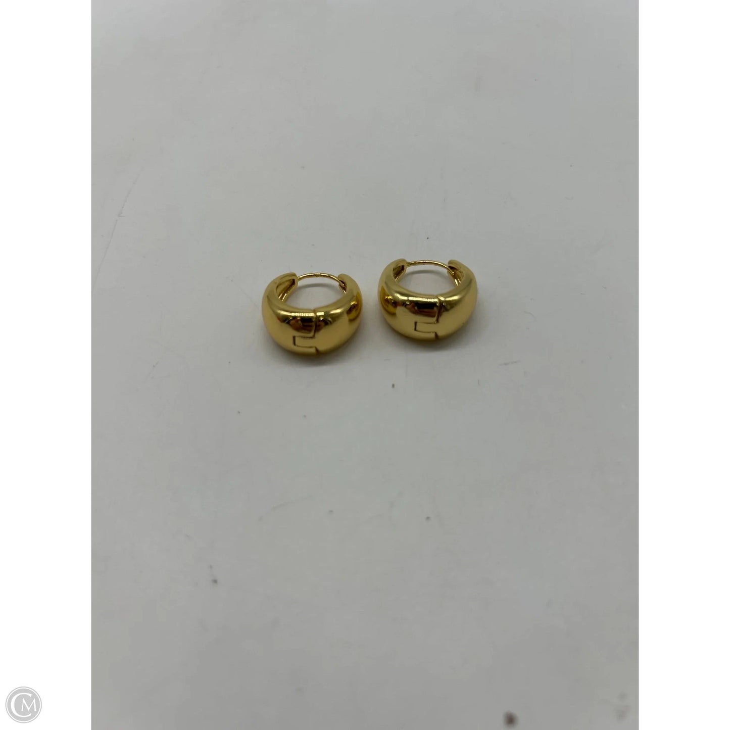 Earrings Hoop By Clothes Mentor, Size: 0