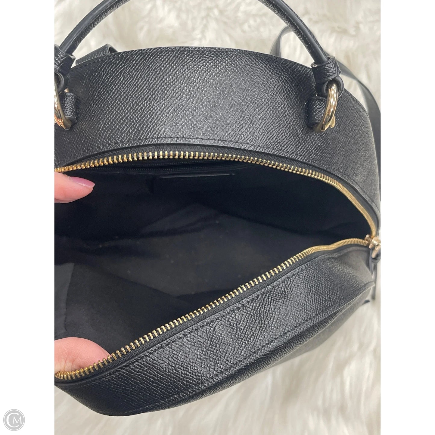 Backpack Designer By Coach, Size: Medium