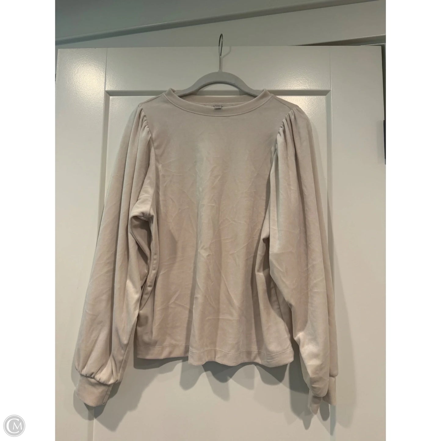 Top Long Sleeve By Loft In Tan, Size: Xs