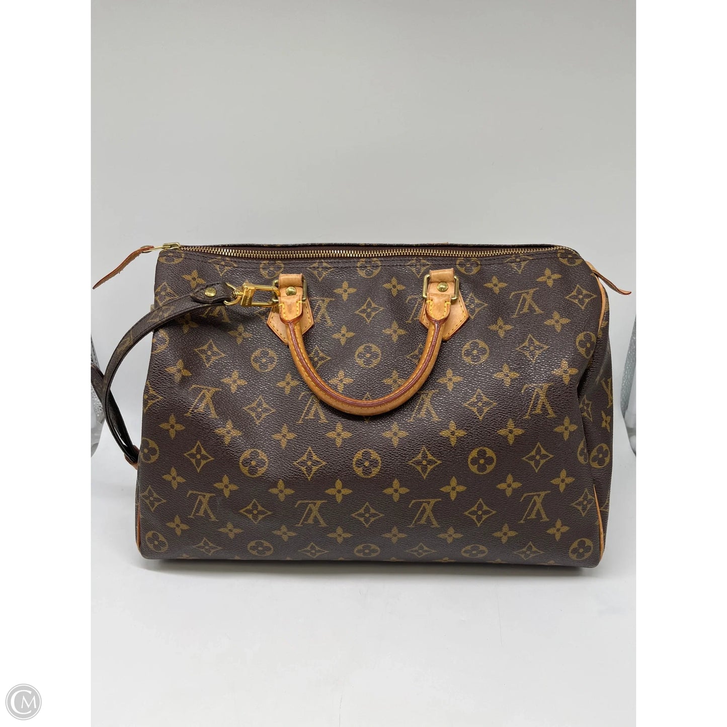 Handbag Luxury Designer By Louis Vuitton, Size: Large