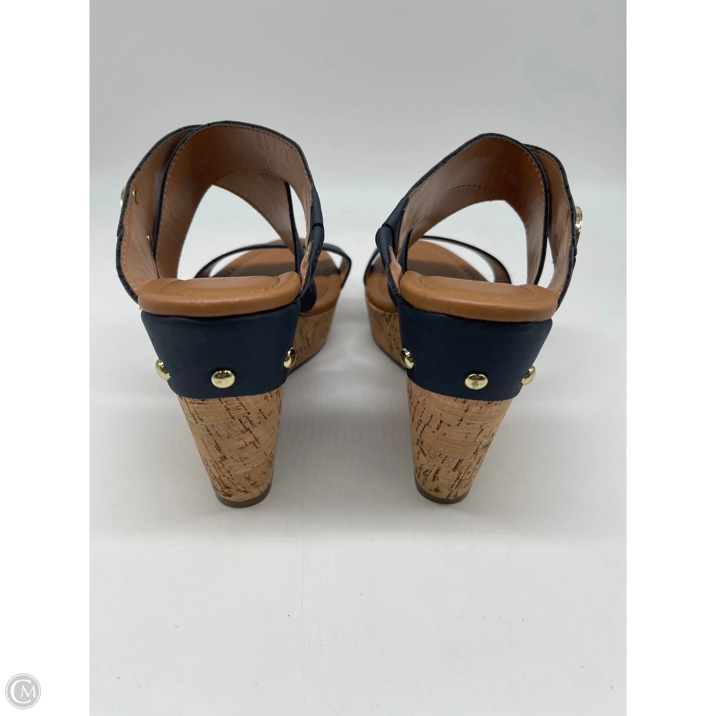 Shoes Heels Wedge By Tommy Hilfiger In Blue, Size: 9