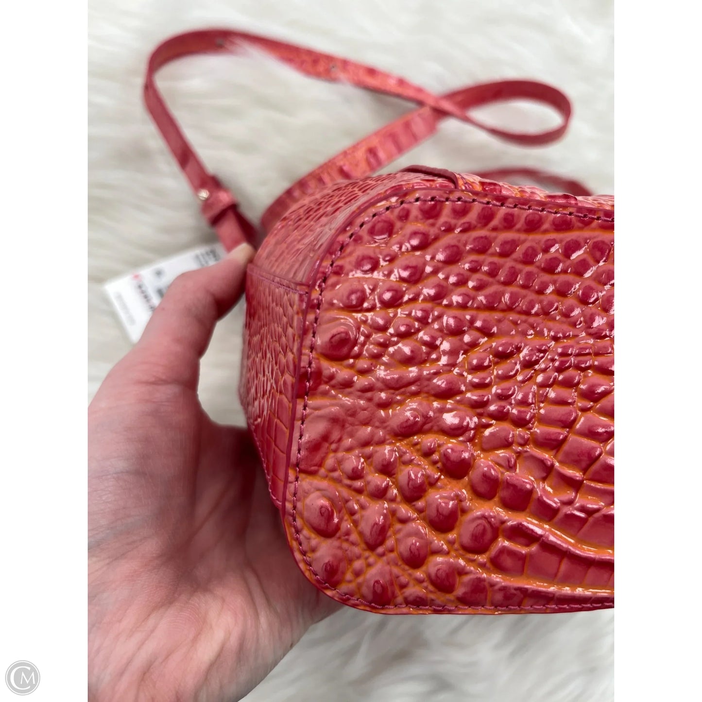 Backpack Designer By Brahmin, Size: Small