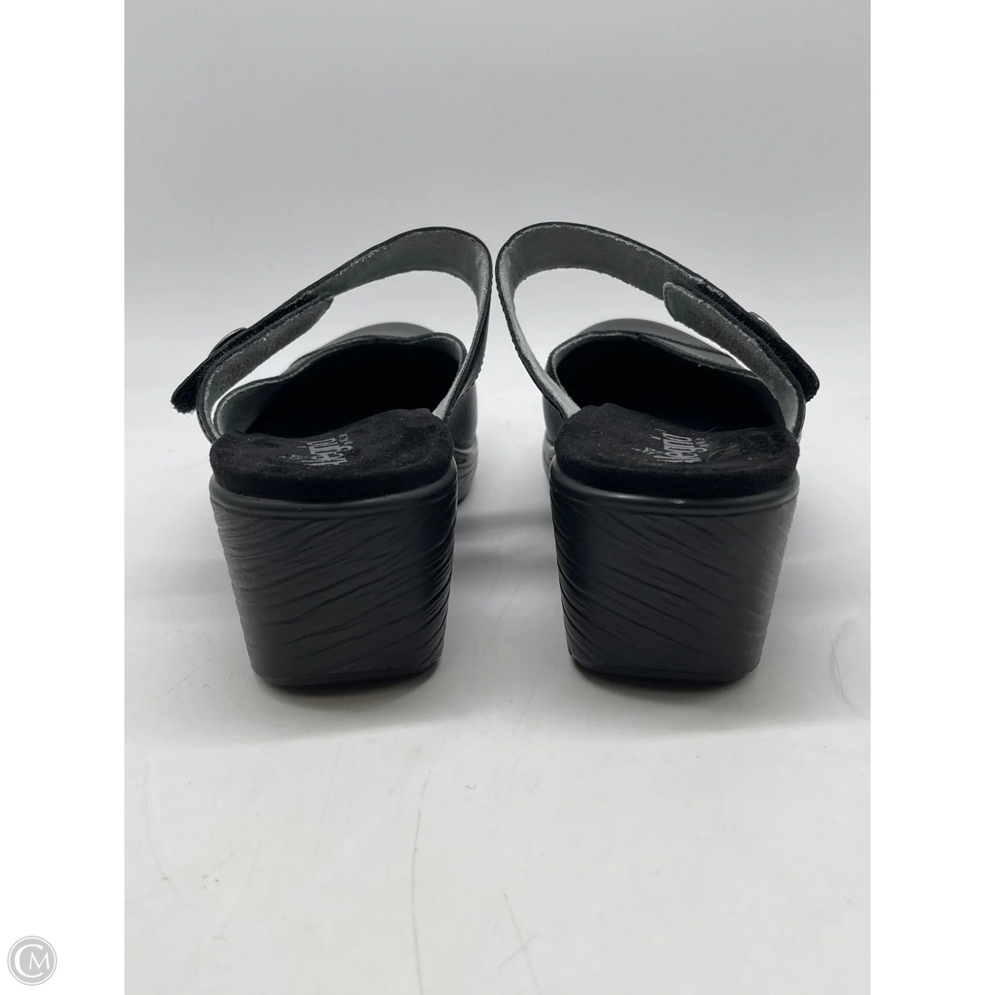 Shoes Heels Platform By Alegria In Black, Size: 8