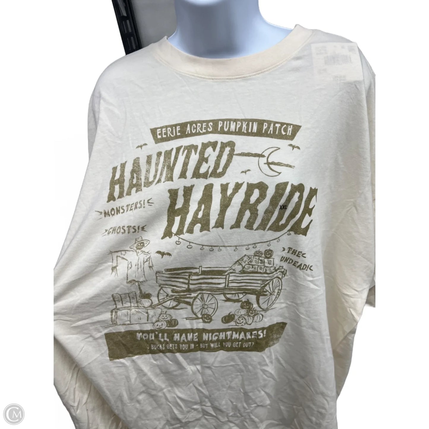 Top Short Sleeve By American Eagle In Cream, Size: 1x