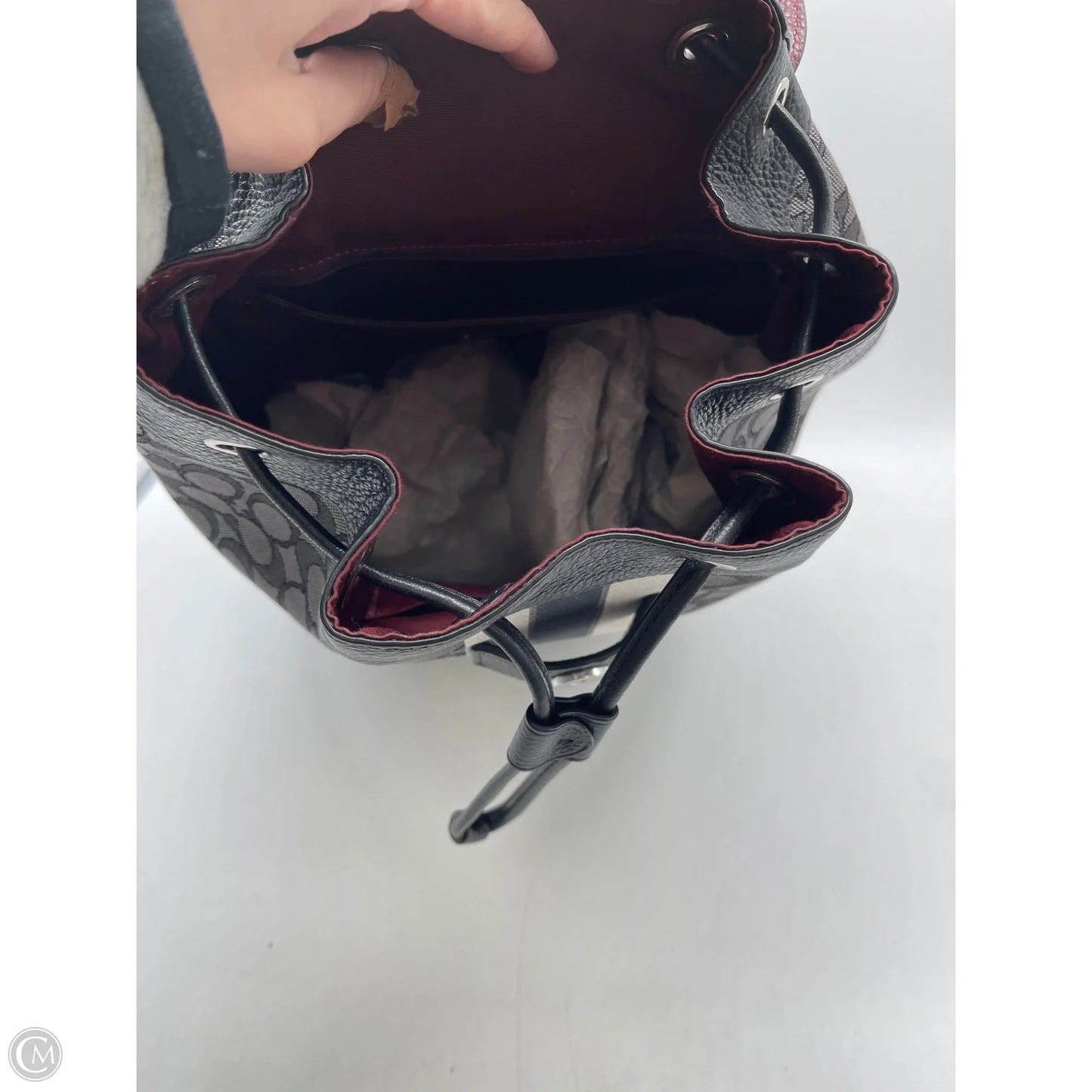 Backpack Designer By Coach, Size: Medium