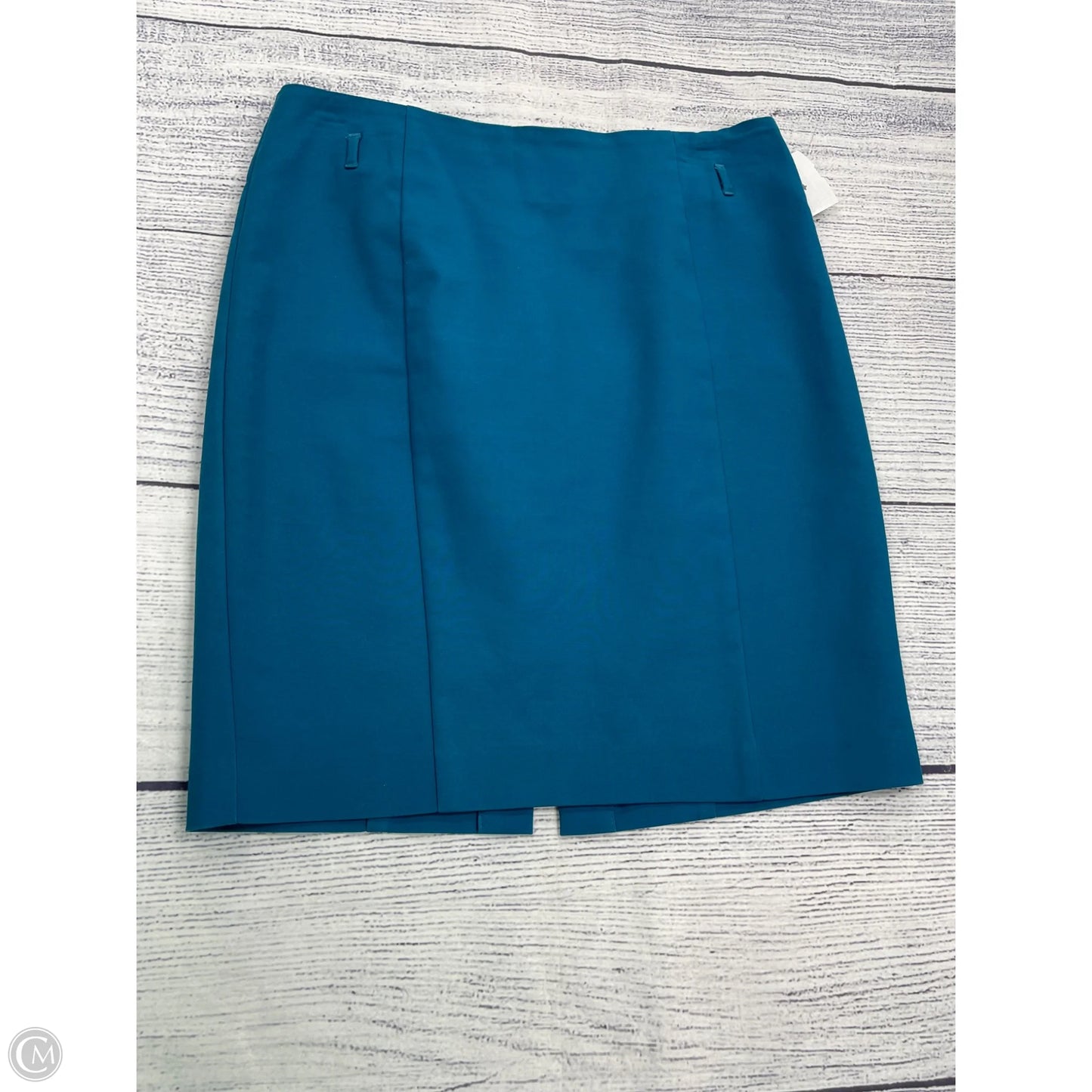 Skirt Midi By Attyre In Blue, Size: 10