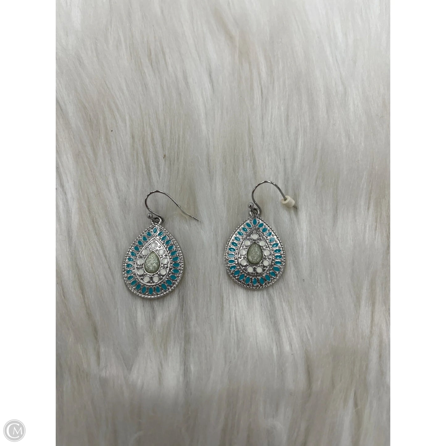 Earrings Dangle/drop By Clothes Mentor