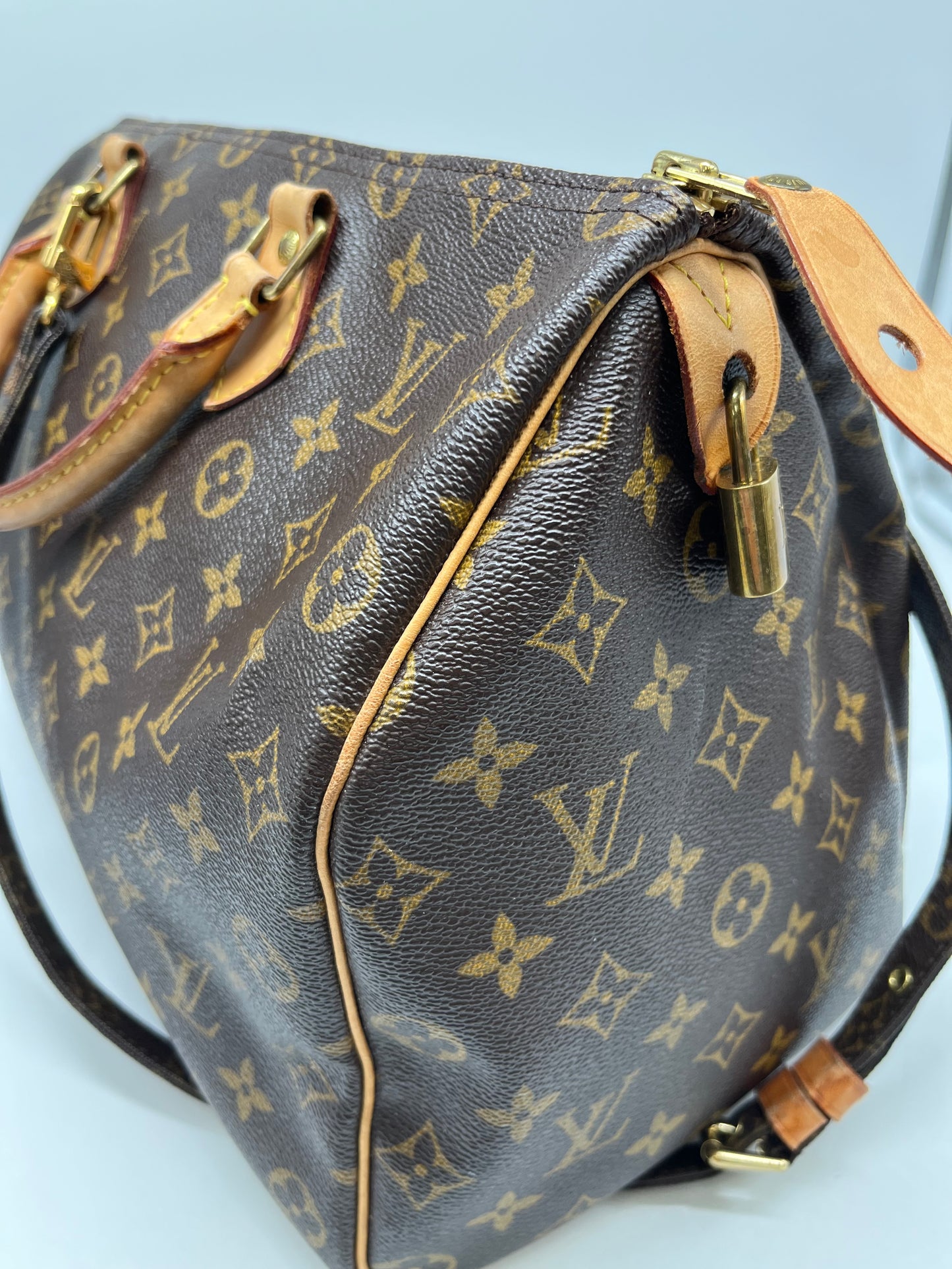 Handbag Luxury Designer By Louis Vuitton, Size: Large